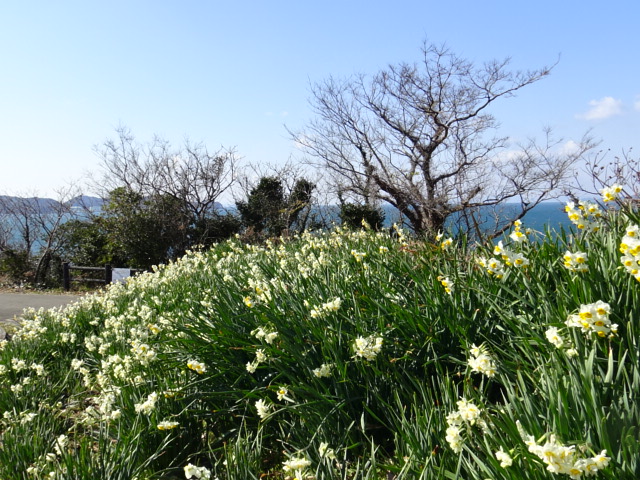 f0231709_07276.jpg