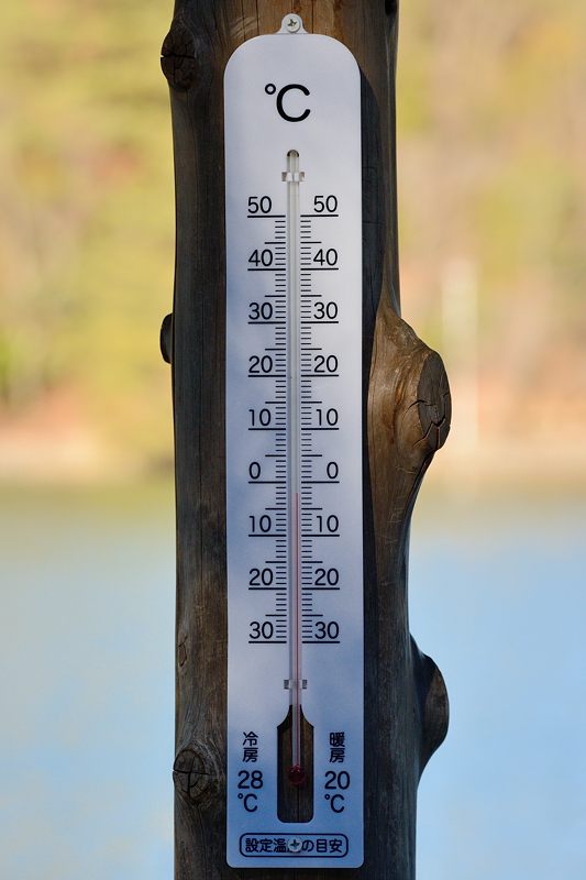 f0032011_1932495.jpg