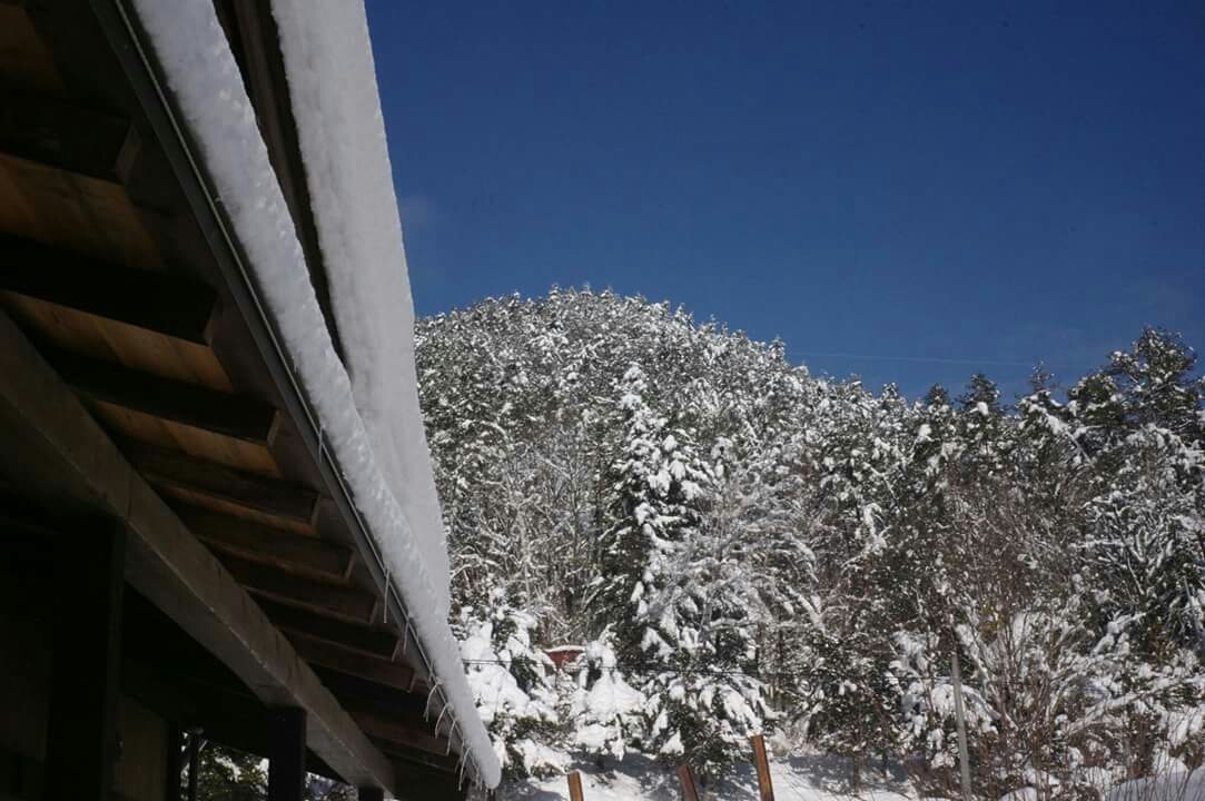 b0263213_18235327.jpg
