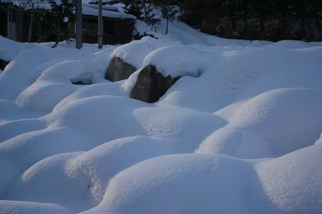 b0263213_18235933.jpg
