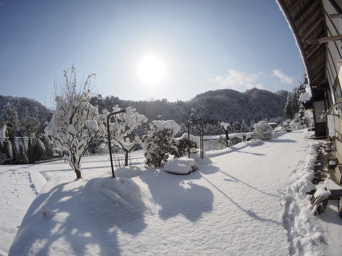 青空の雪景色に その２_c0116915_0205552.jpg
