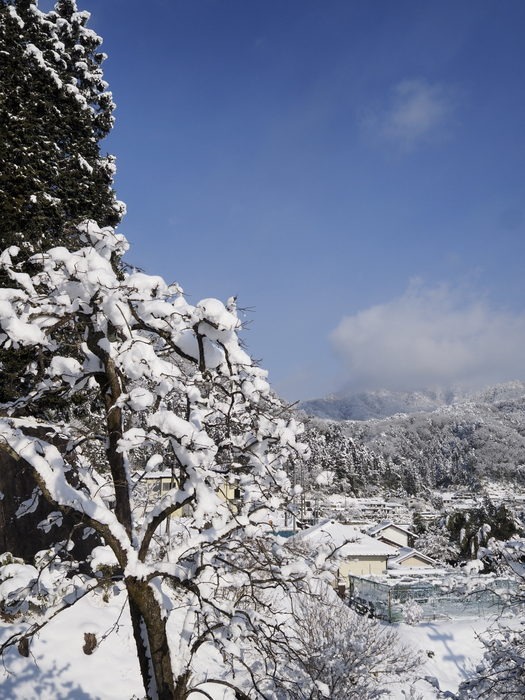 青空の雪景色に その２_c0116915_0233594.jpg