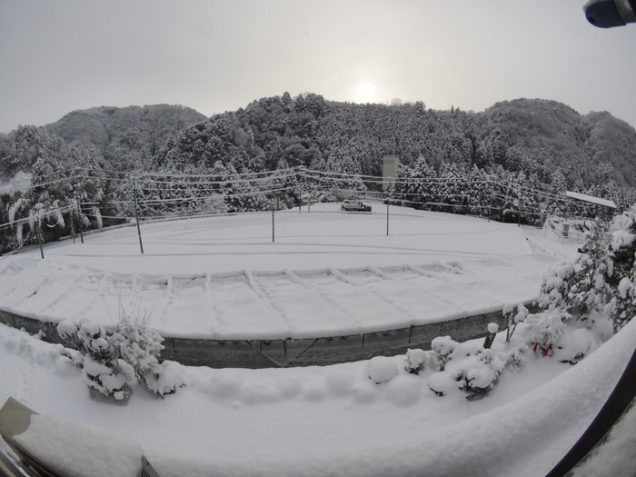 今朝も雪景色_c0116915_082463.jpg