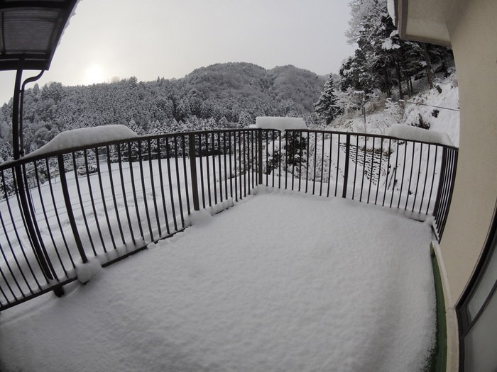 今朝も雪景色_c0116915_092086.jpg