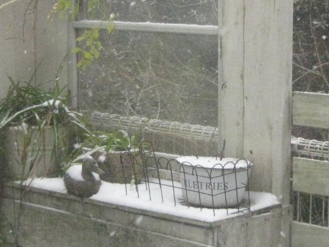 c0085916_05422.jpg
