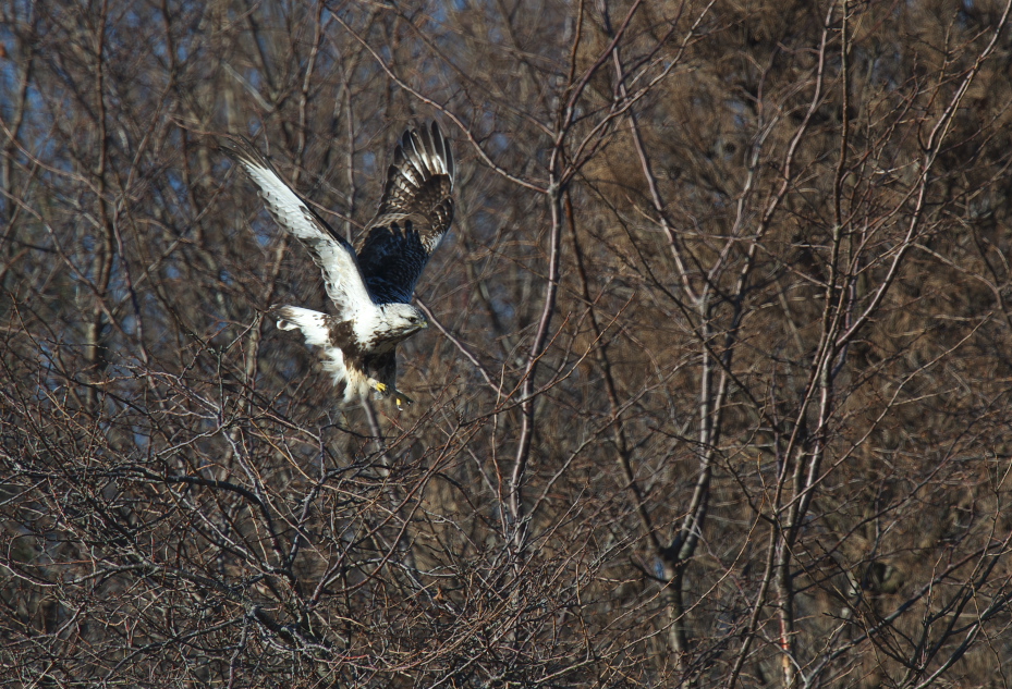 f0288418_022550.jpg
