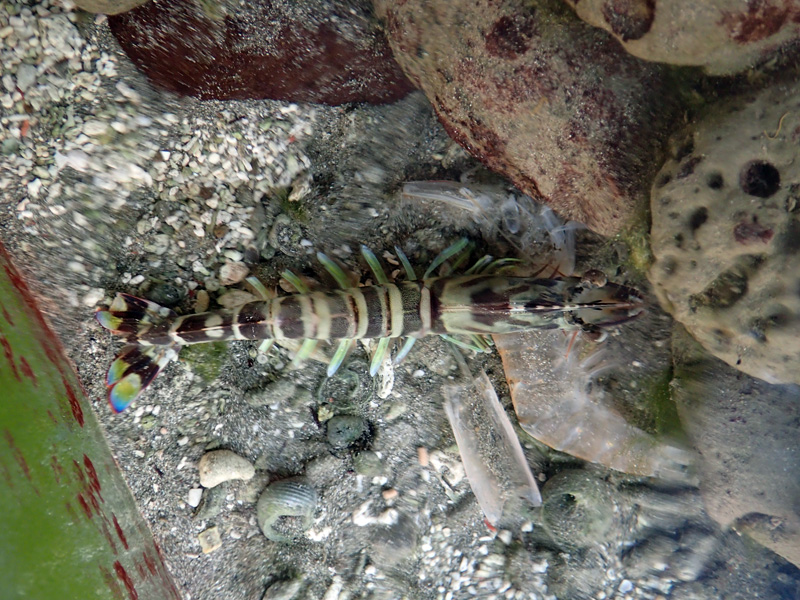 e0189021_22203721.jpg