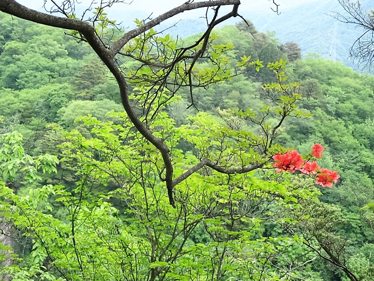 南牧村　碧岩・大岩は天使のランディングスポット　　　　　Midoriiwa & Ōiwa in Nanmoku,Gunma_f0308721_22464766.jpg