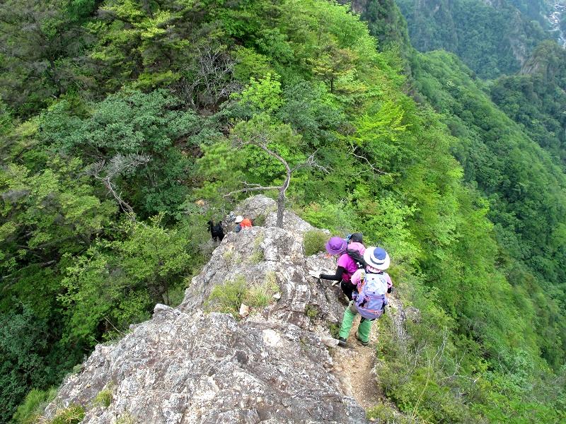 南牧村　碧岩・大岩は天使のランディングスポット　　　　　Midoriiwa & Ōiwa in Nanmoku,Gunma_f0308721_23465811.jpg