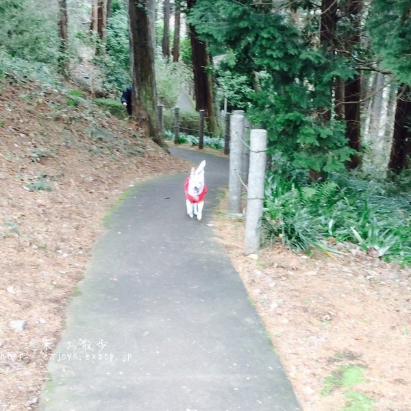 d0269832_09400269.jpeg