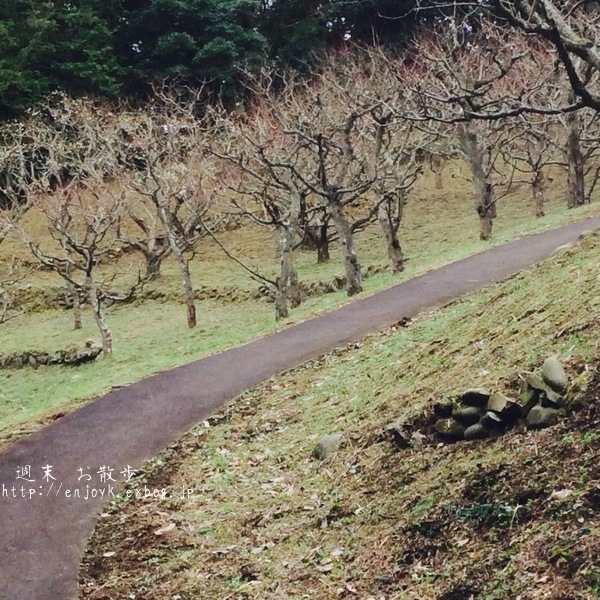 d0269832_09402820.jpeg