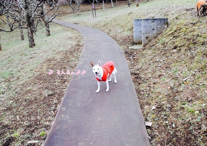 d0269832_09411583.jpeg