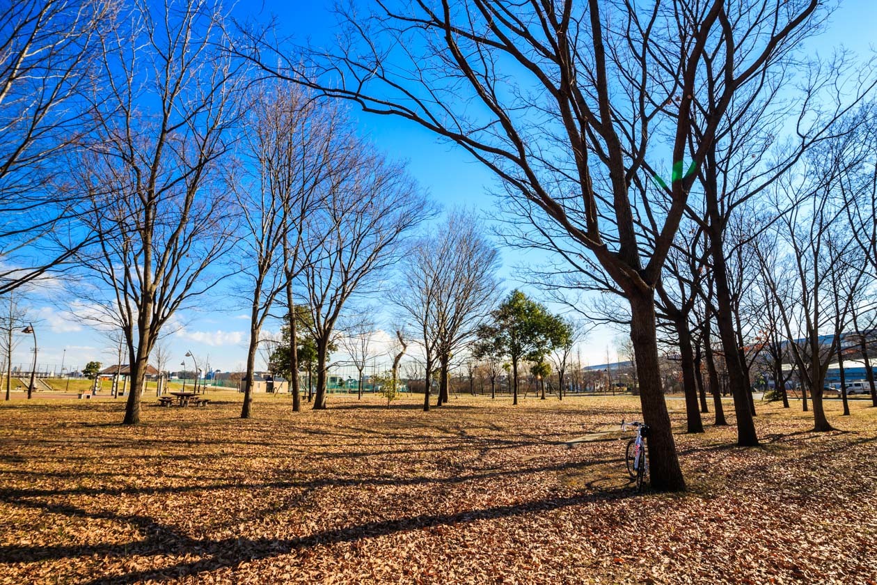 ちょこっと常夜灯公園&グルグル練_b0295234_19544596.jpg