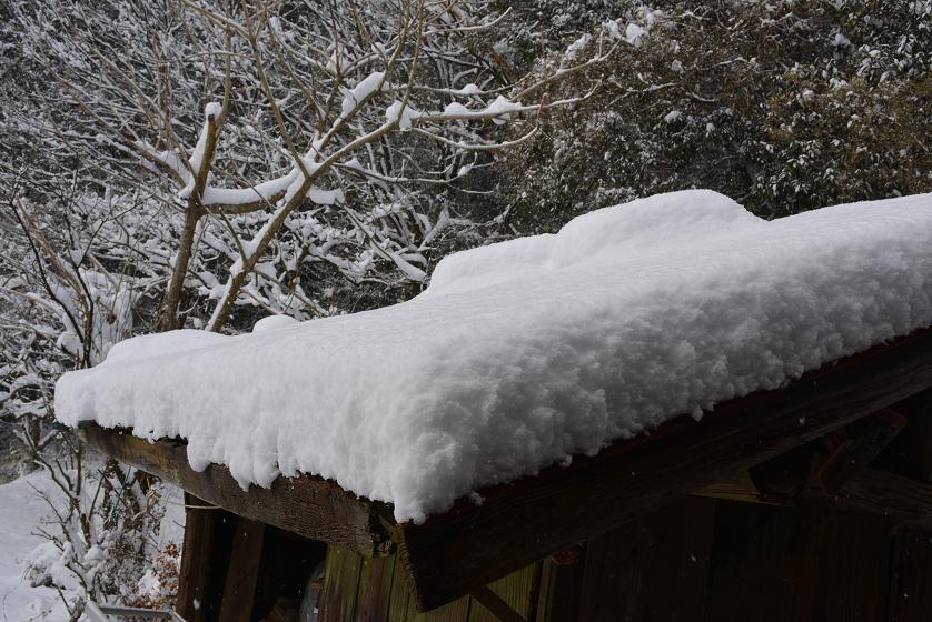 記録的な大雪！！_e0185848_1142121.jpg