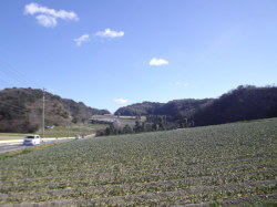 a0281449_17130511.jpg