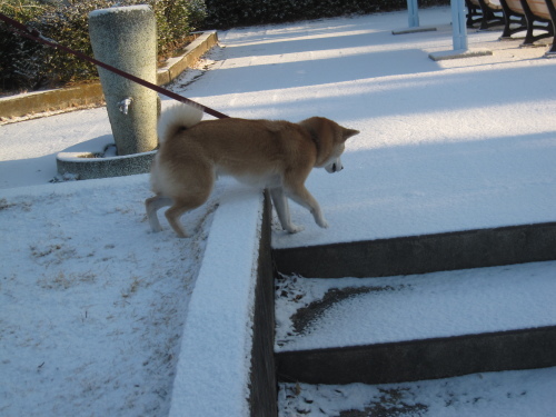 雪を純粋に楽しめる♪_f0245650_06573887.jpg