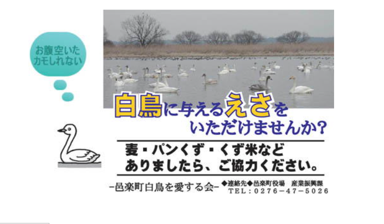 a0290852_1032277.png