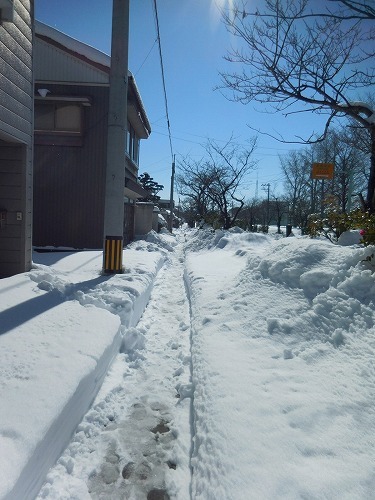c0327752_14294384.jpg