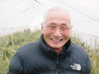 熊本産パイナップル 『菊池・七城産 けんちゃん家のパイナップル』 実りの冬?を迎え大好評発売中!_a0254656_18215189.jpg