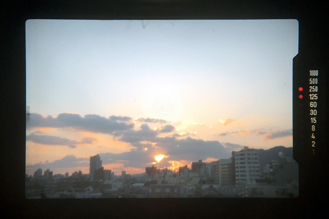 e0101258_2324533.jpg