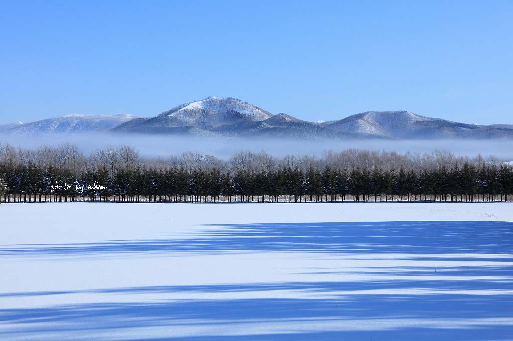 ケアラシのある風景_a0039860_19474067.jpg