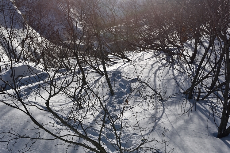 b0281366_13104688.jpg
