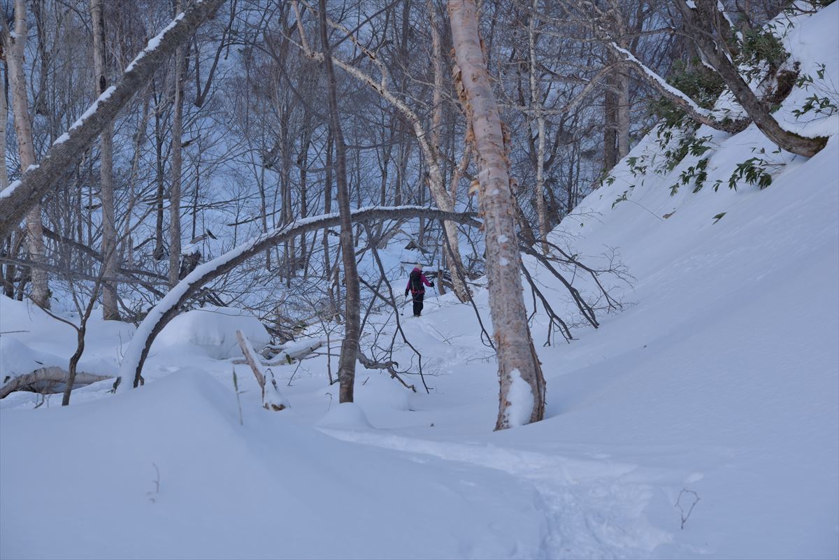 厳冬期の南日高・野塚岳～1月11日～_b0281366_13262548.jpg