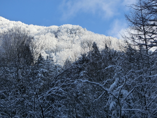 八ヶ岳もようやく雪景色_e0140066_1030756.jpg