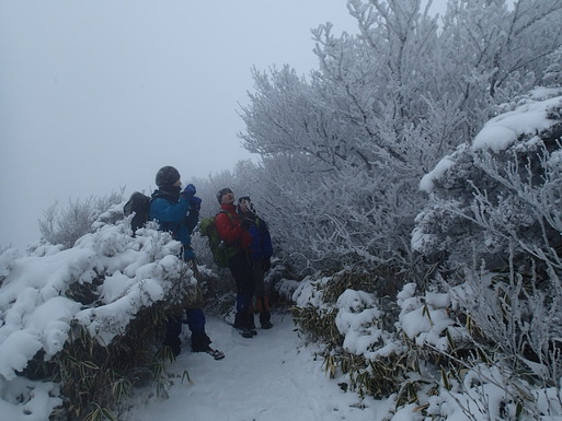 ２０１６．０１．２３（土）　雲仙雪山山行_d0326888_223451.jpg