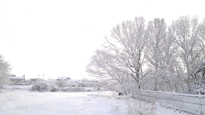 e0221697_2101698.jpg