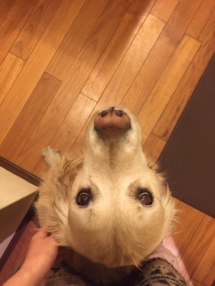 b0275998_16284465.jpeg
