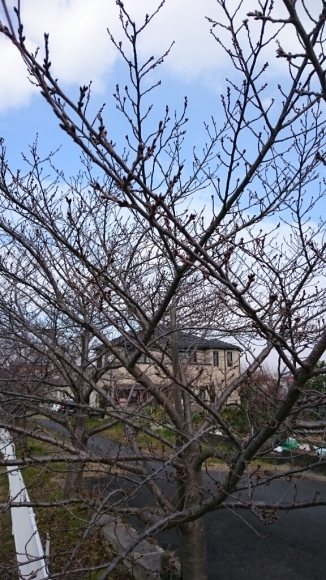 e0278508_19005236.jpg