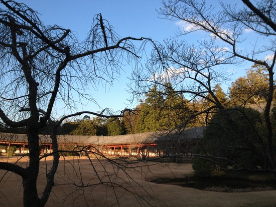 ちょこっと奈良旅＊西日に照らされた神々しい!!東大寺_f0221708_13185056.jpg