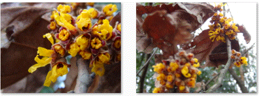 f0231709_2364882.gif