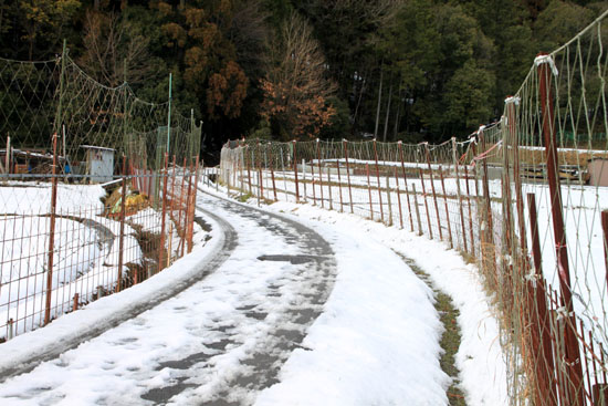 菜園にも雪が_e0048413_1428221.jpg