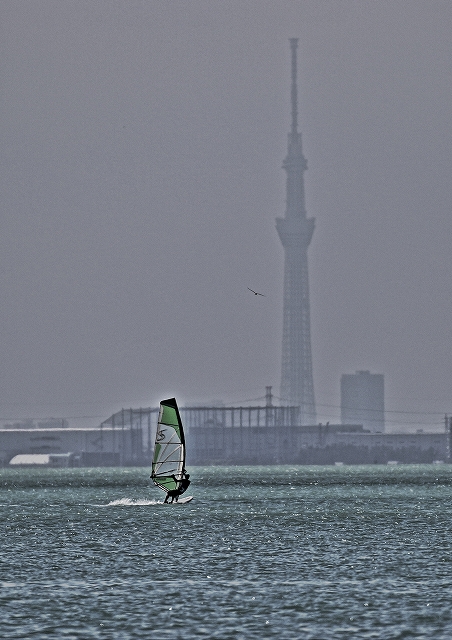 a0159414_115154.jpg