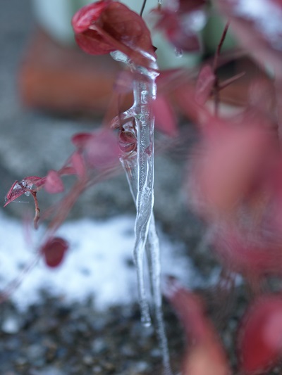 c0247614_881311.jpg