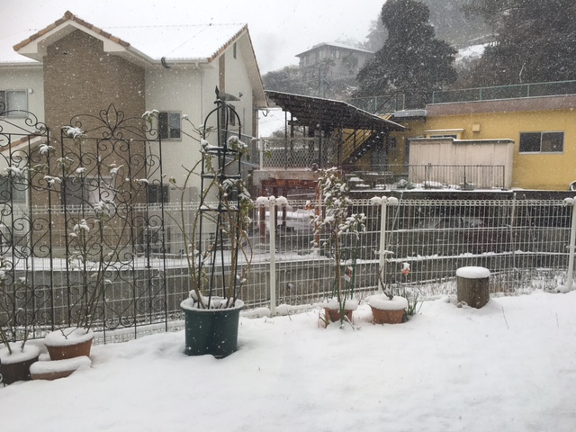 b0203727_17472132.jpg