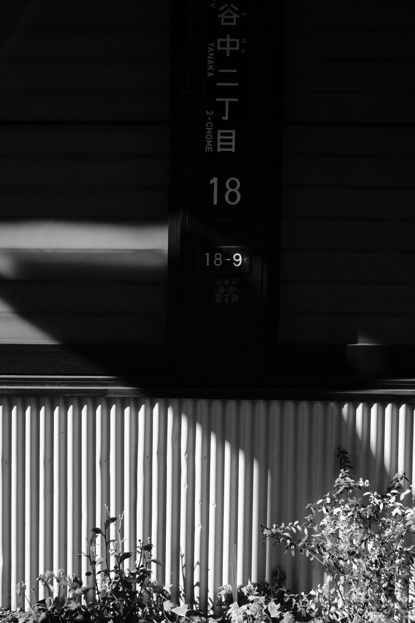 １月１６日　根津神社ワークショップ　再編集　by FUJIFILM X-Pro2_f0050534_07531146.jpg