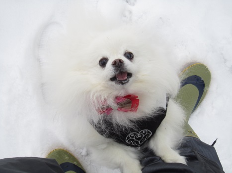 また雪遊びですよ~_b0177436_2253937.jpg