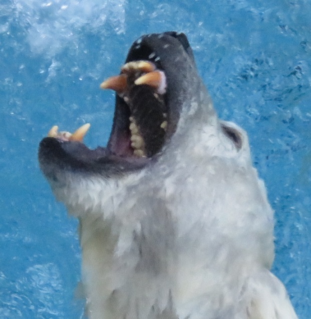 f0002743_13571654.jpg