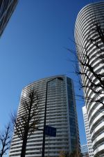 e0080345_8475026.jpg