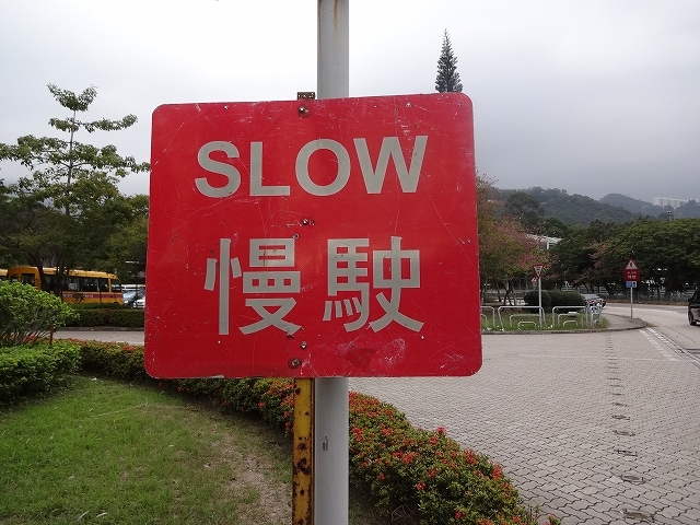 沙田站へ _b0248150_10272383.jpg