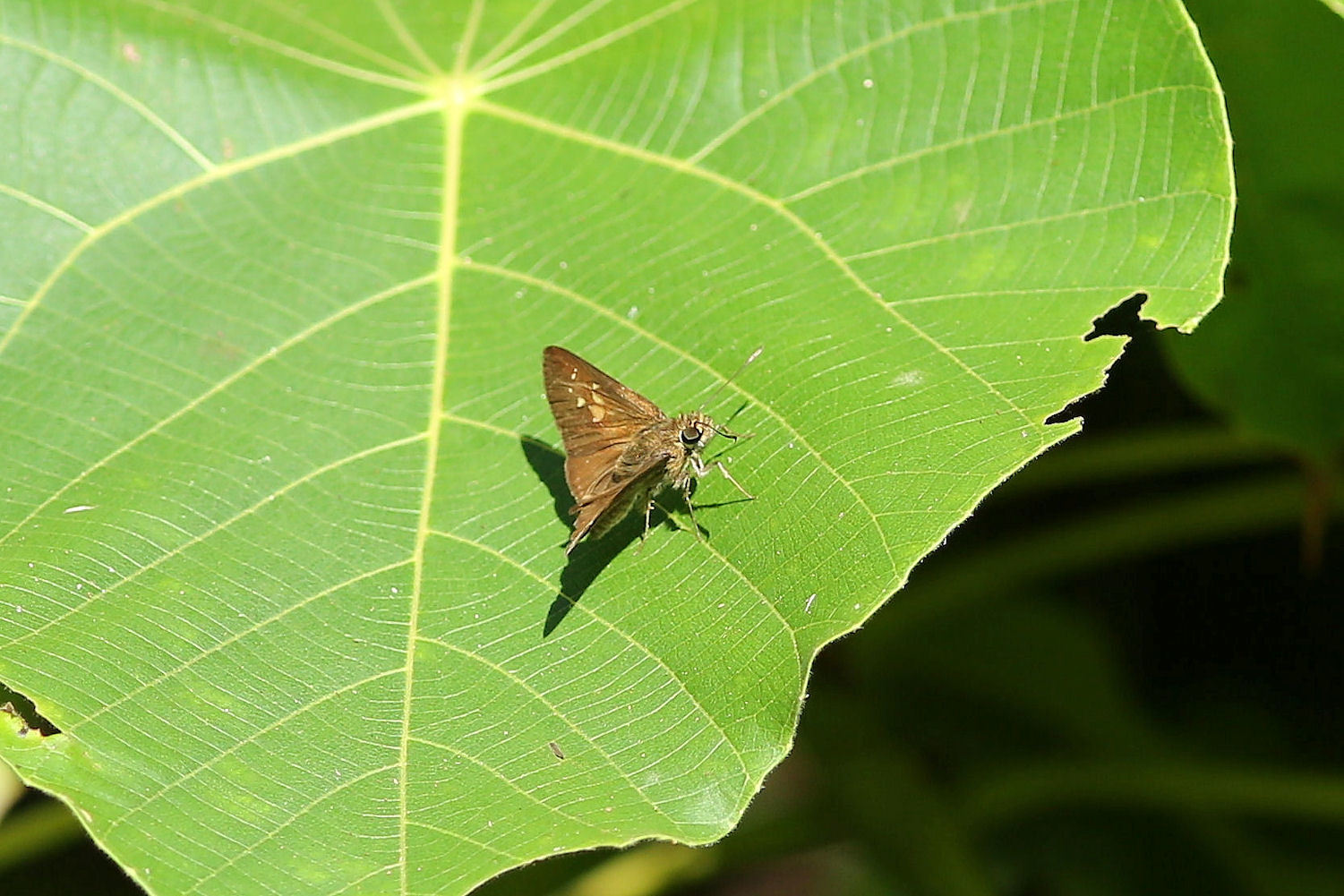 f0345350_07302463.jpg