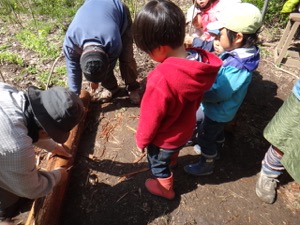 4月2週 はじまりはじまり_e0256851_21123085.jpg