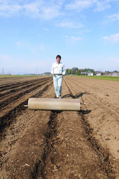 有機栽培の水田ごぼう 種まきから発芽までのお話し_a0254656_18153451.jpg