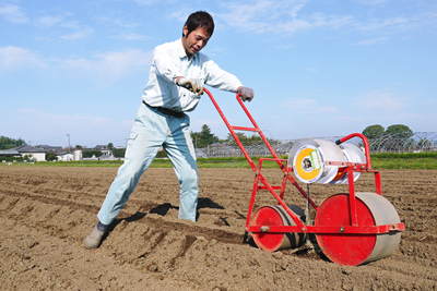 有機栽培の水田ごぼう 種まきから発芽までのお話し_a0254656_1863755.jpg