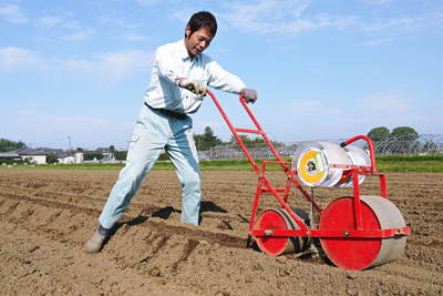 有機栽培の水田ごぼう　種まきから発芽までのお話し_a0254656_1863755.jpg