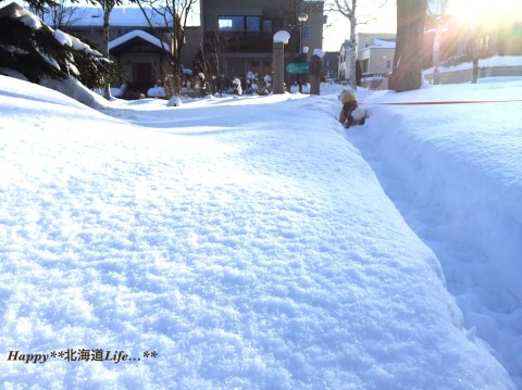 a0337860_22190754.jpeg