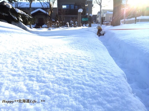 白い雪山の一本道_a0337860_22190754.jpeg